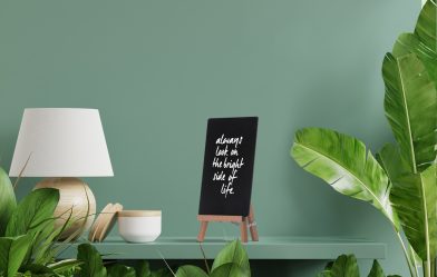 Interior wall mockup with green plant,Green wall and shelf.3D rendering
